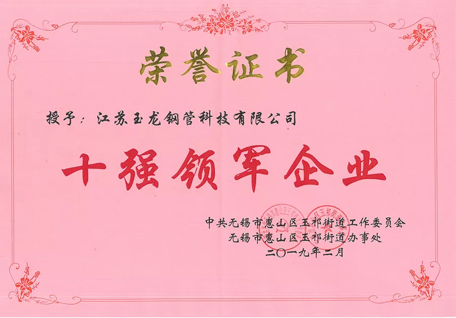 十强领军企业